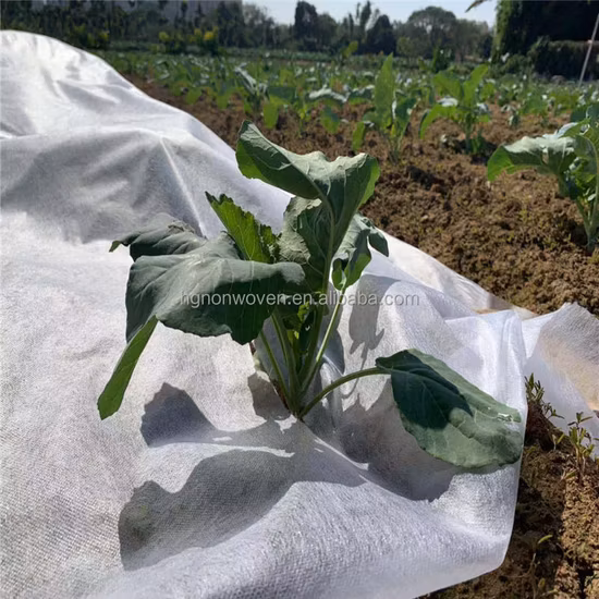 Tela verdadera D del suelo de madera del buen tablón al por mayor de la fábrica